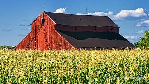 Barn & Corn_54200-1.jpg - Photographed near North Gower, Ontario, Canada.